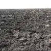 Регенеративное сельское хозяйство: климат или урожай, кого хочешь выбирай! (Почва. Фото: fsvps.gov.ru) Почва. Фото: fsvps.gov.ru
